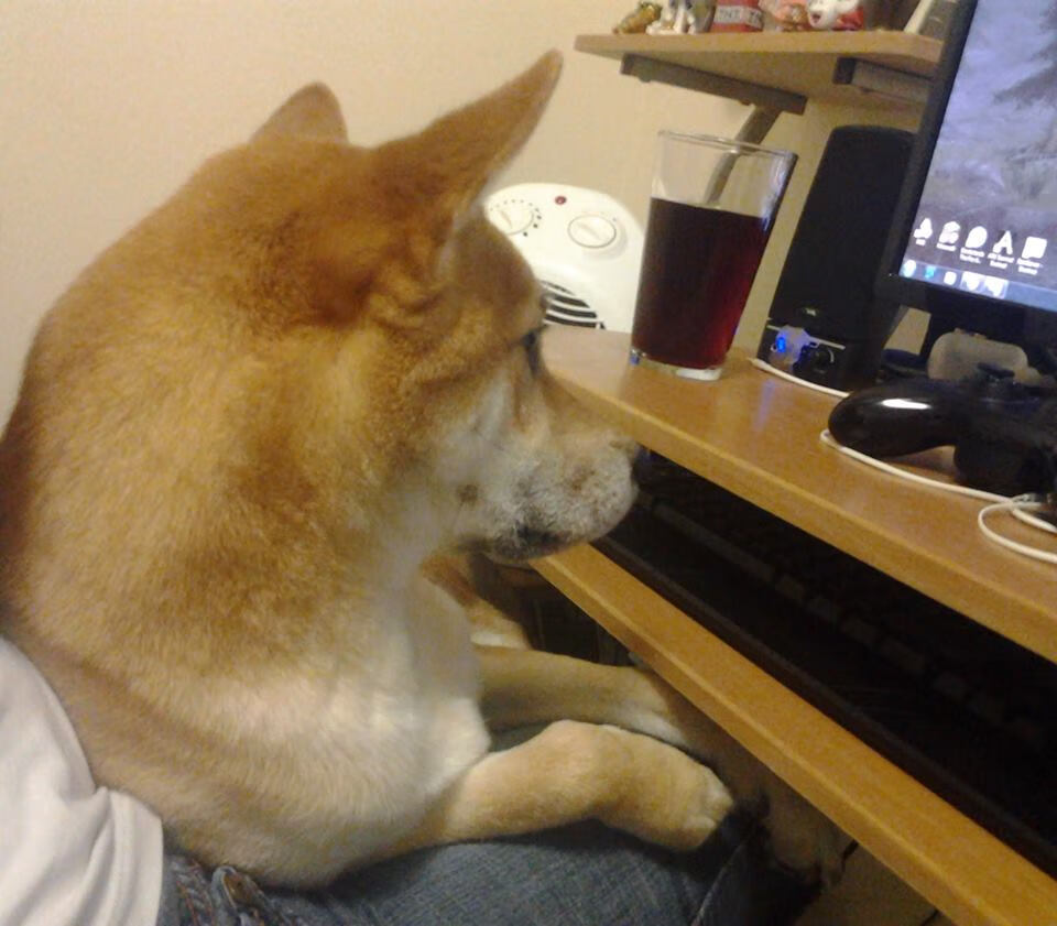 开云体育官网下载-NBA品牌再升级，个性化商品持续火爆，nba品牌logo