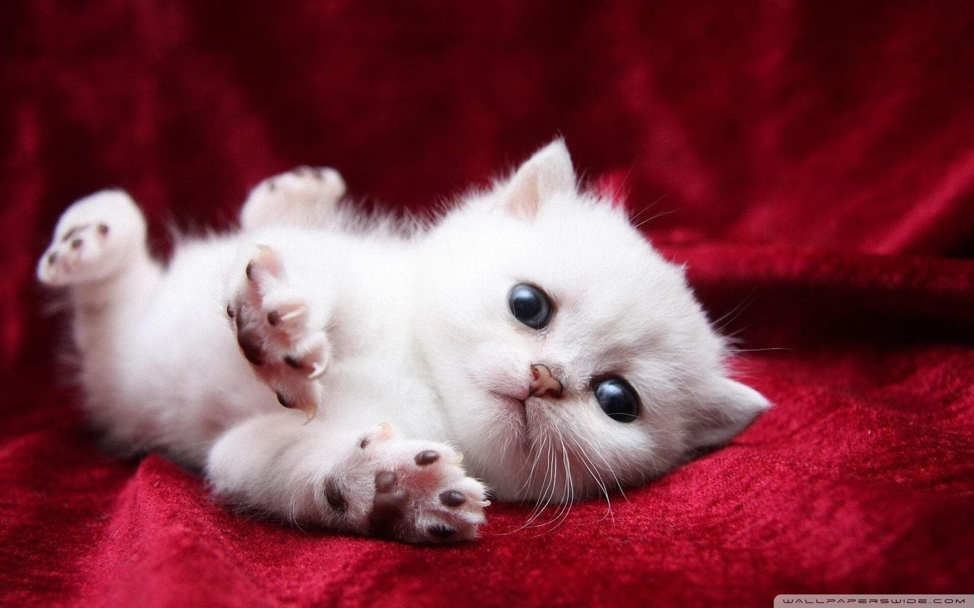 开云app下载-【平局后怎么玩】加时赛新规让每场比赛都值得期待，加时算平局吗