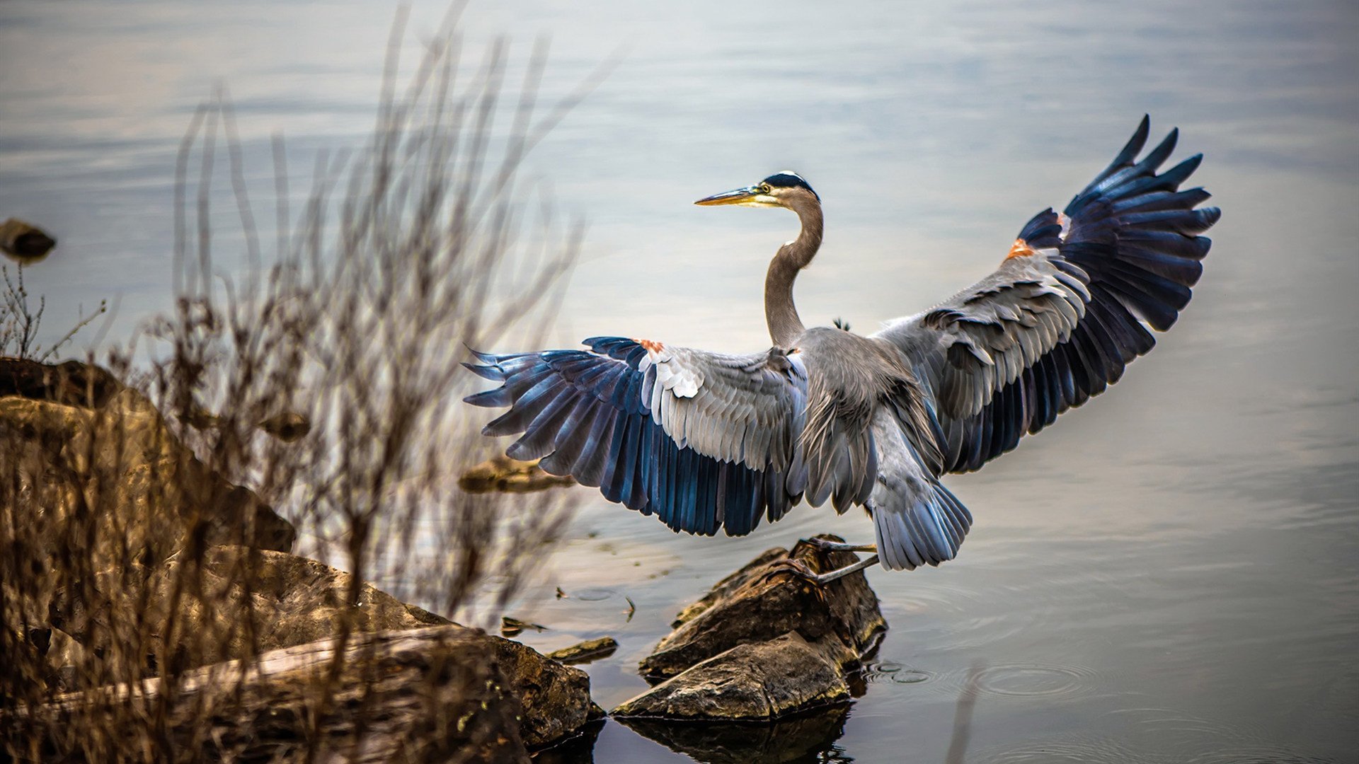 亚特兰大中场核心再次发威,亚特兰大出场阵容