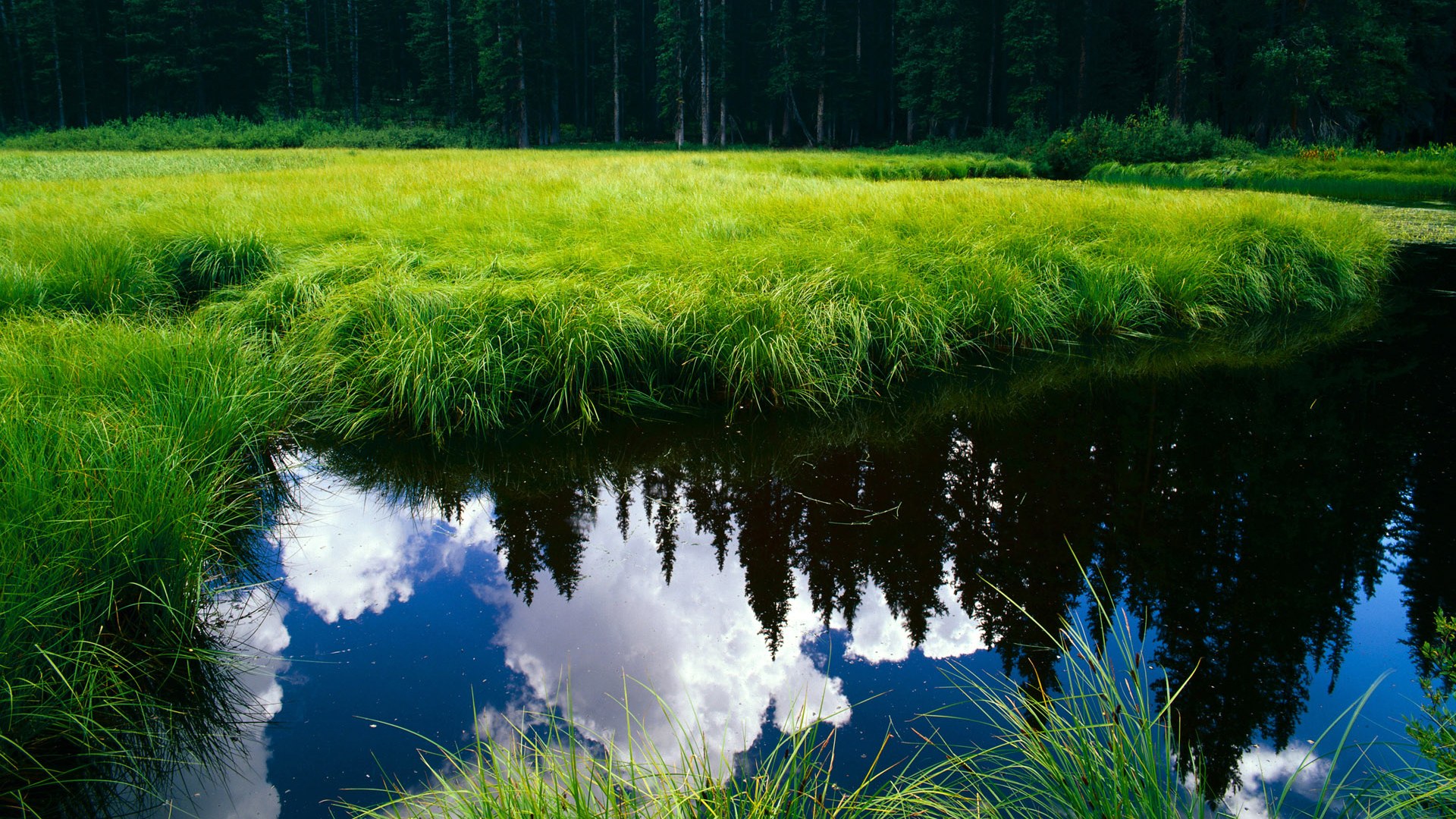 华夏篮球联盟与国际合作不断深化,提升赛事水平,华夏联盟创始人