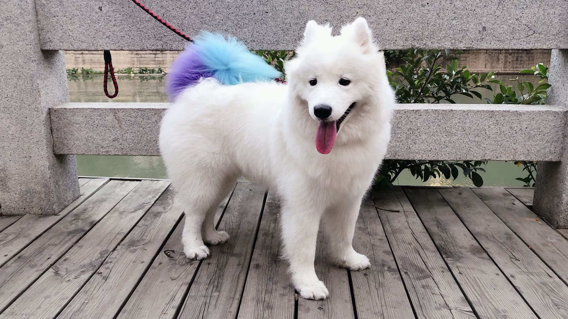 快讯:中国篮球超级联赛最新排名情况,中国篮球职业联赛最新排名