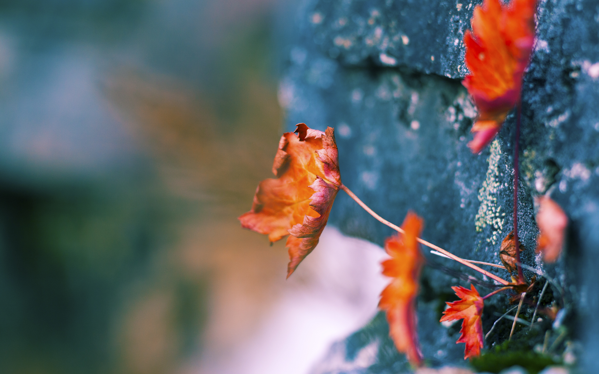 开云官方-足球场馆智能化升级，提升比赛观赛体验，足球场管理与服务方案