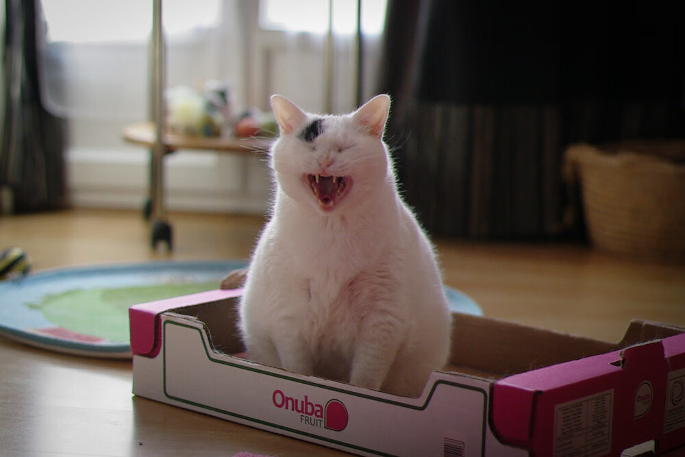 开云在线直播-黄蜂老板乔丹正式出售股权，告别球队运营，黄蜂队乔丹股份