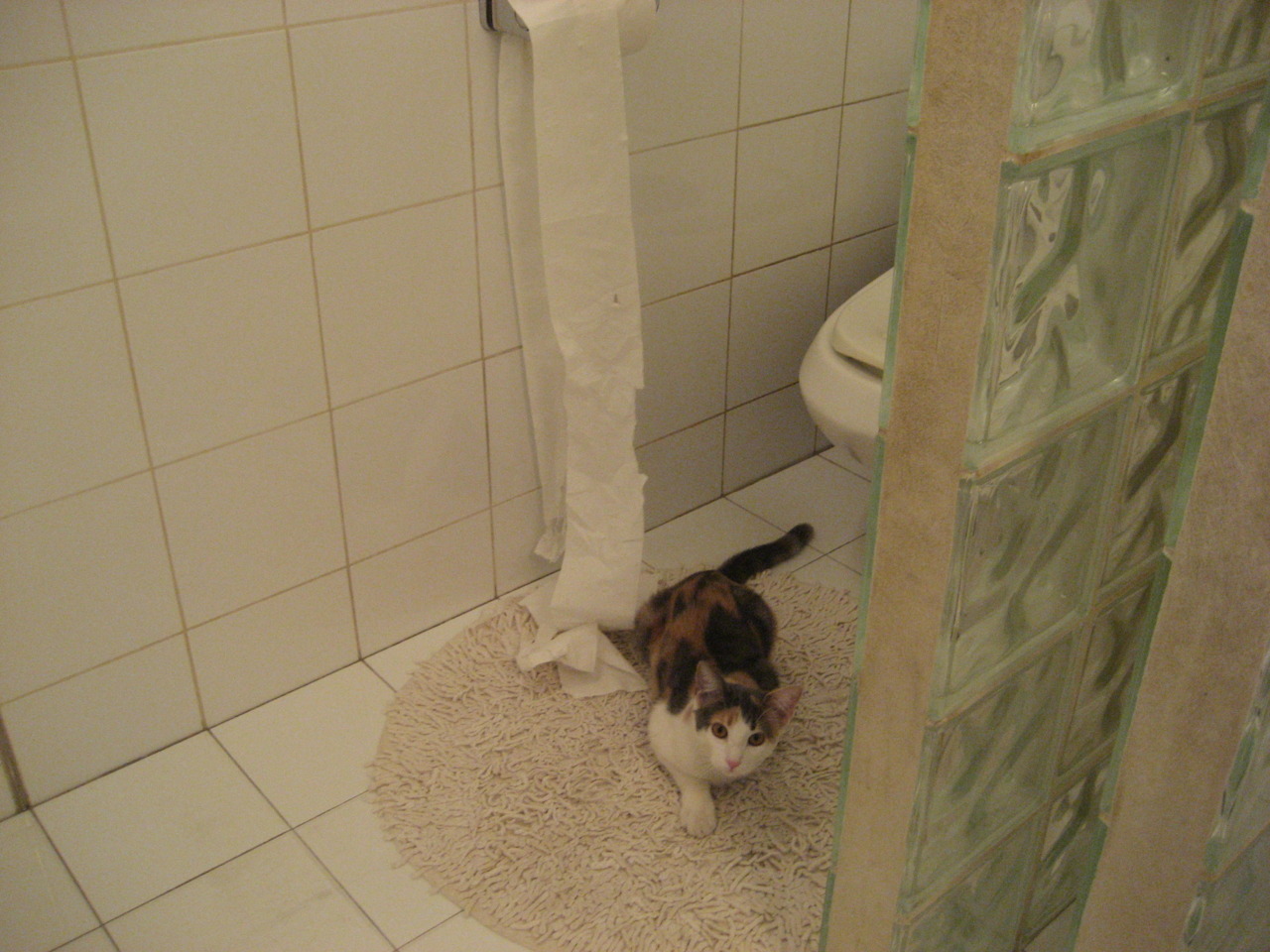 开云体育网址-上海久事球队助攻数据创新高，上海久事篮球俱乐部二队名单