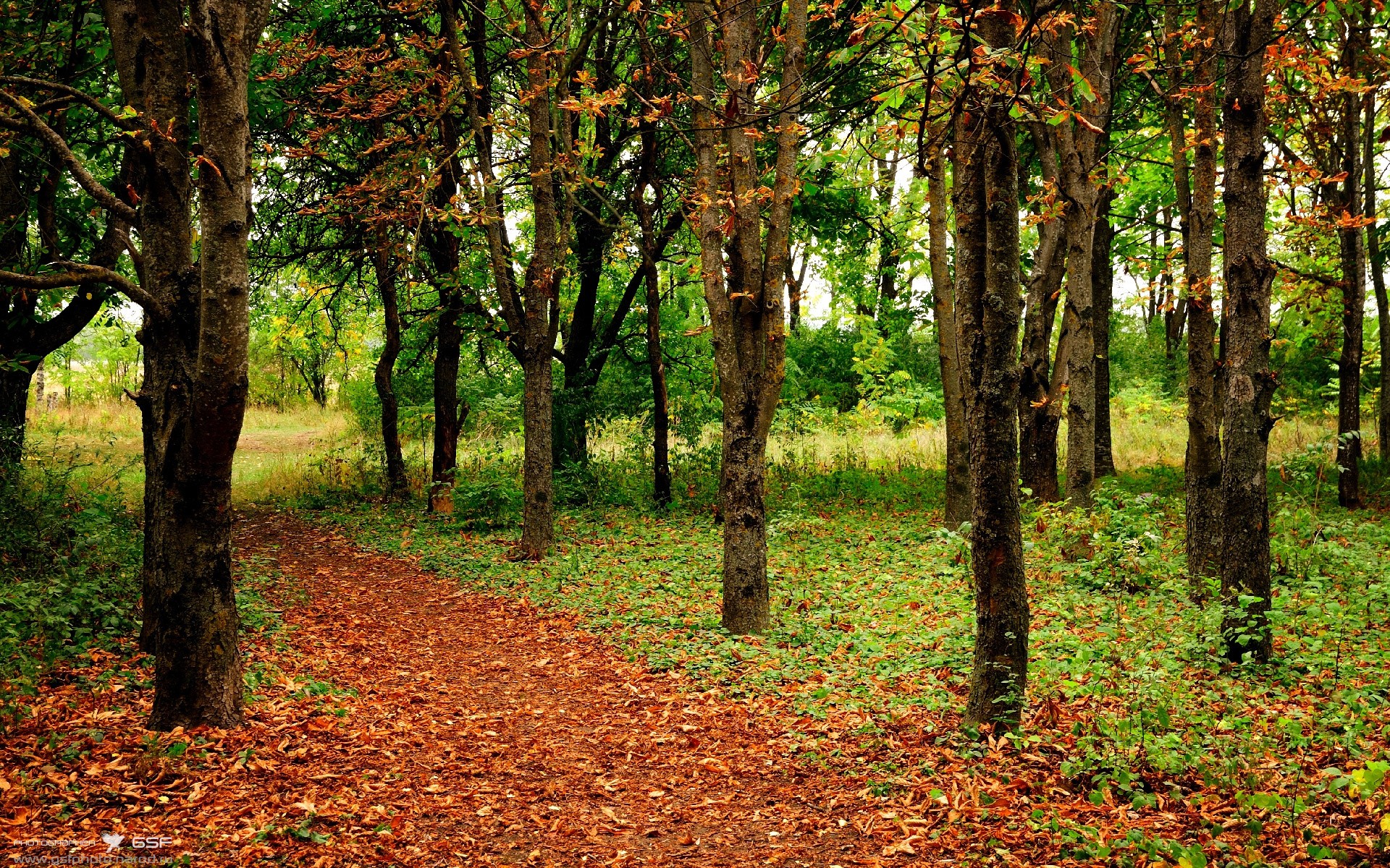 北马其顿战平奥地利，战局或影响淘汰赛出线，北马其顿能赢奥地利吗