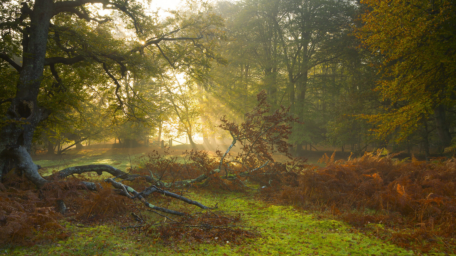 电竞电竞赛事市场营销创新模式及粉丝经济开发实践，电竞活动营销策划方案