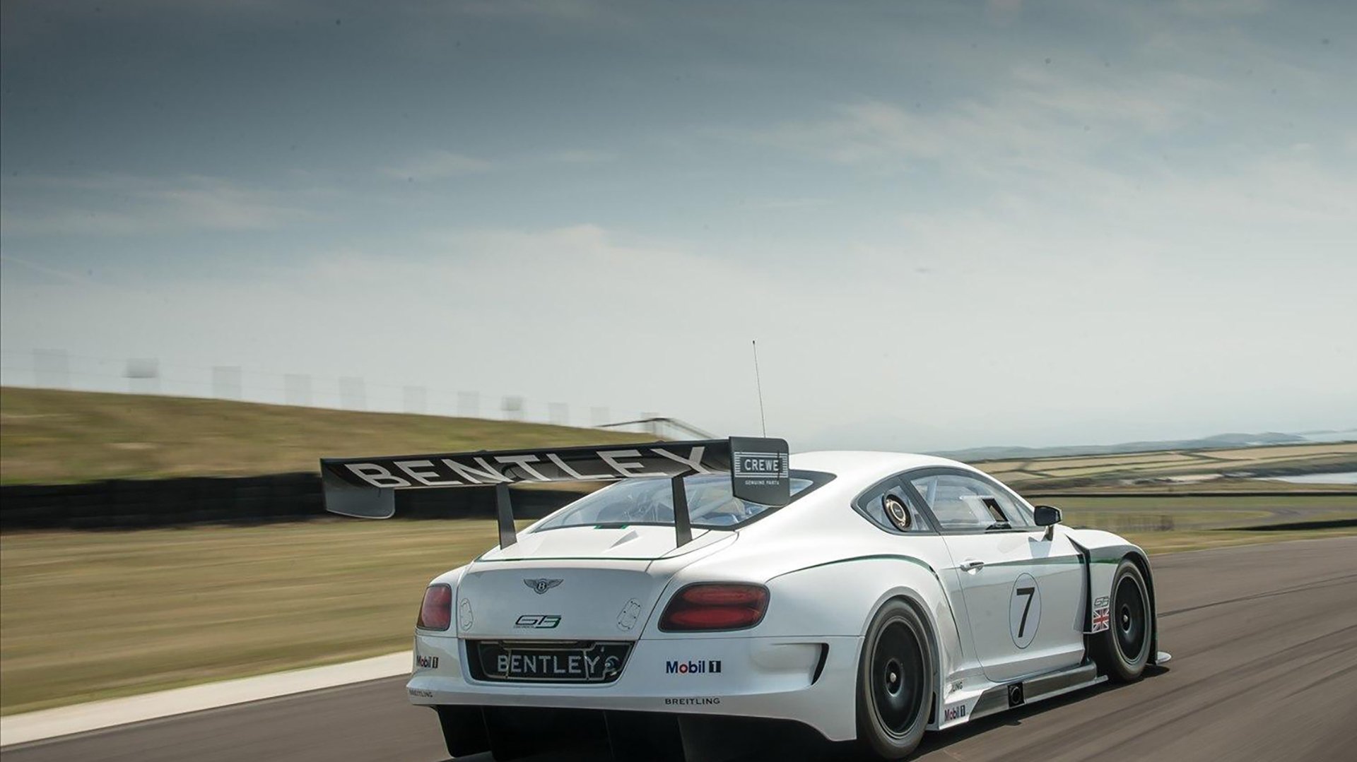 运动员职业发展路径探索,运动员职业发展路径探索图