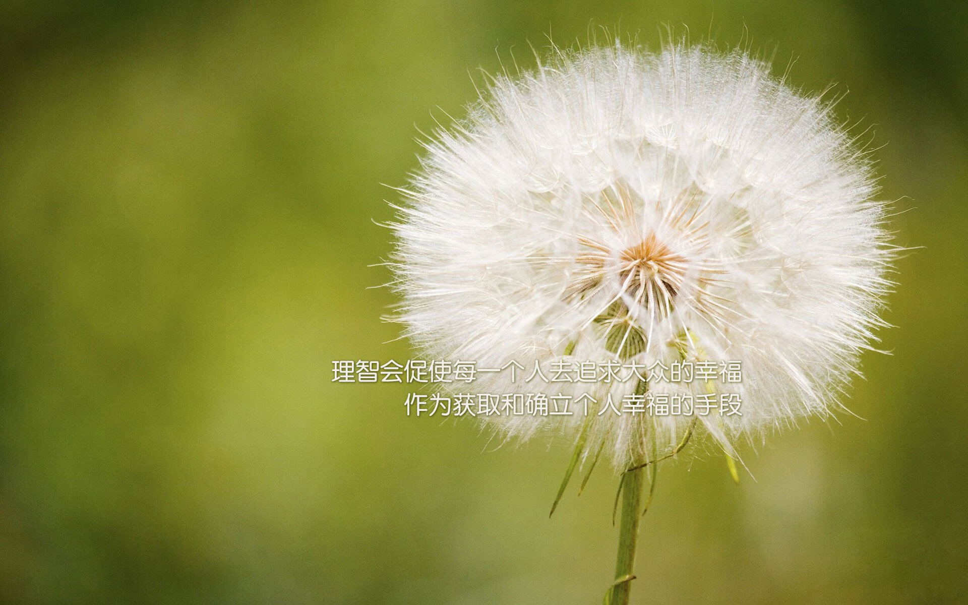 开云中国官网-东京奥运马拉松赛中国选手进前十，东京马拉松奥运会中国第几名