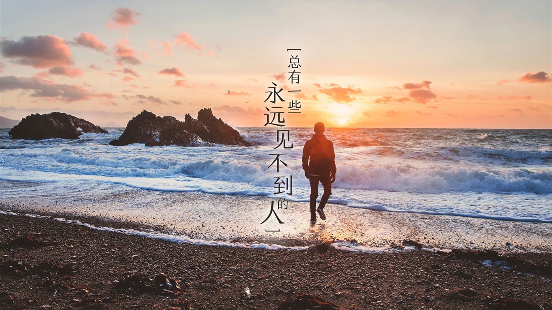 开云官网-荷兰蛙泳节奏控制极具水准，荷兰游泳奥运冠军