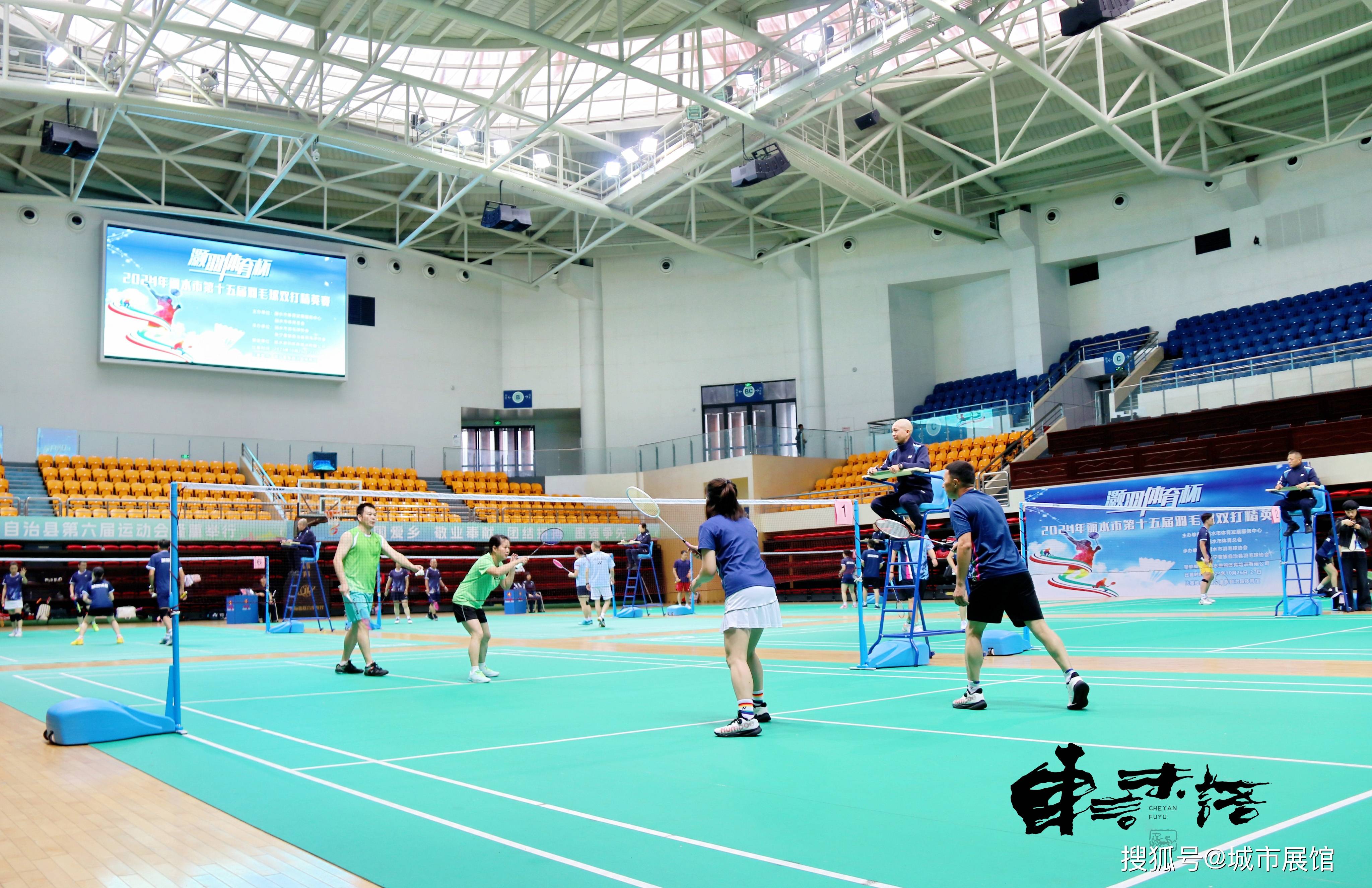 羽毛球选手的职业生涯与奋斗故事的简单介绍