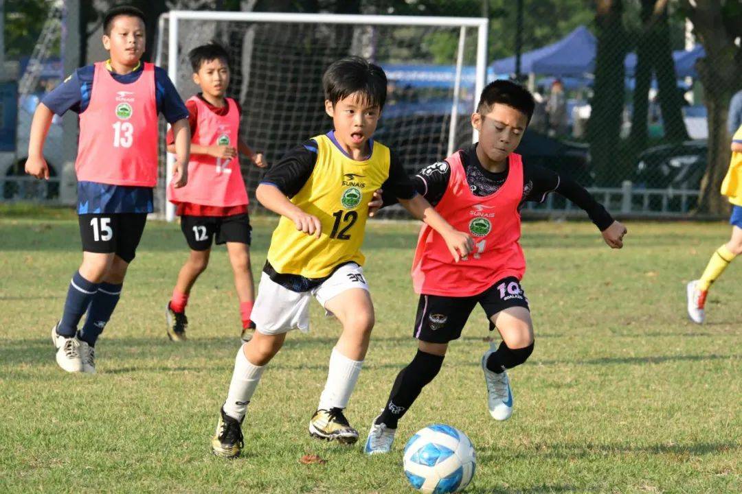 各支球队的训练营与季前准备 各支球队的训练营与季前准备