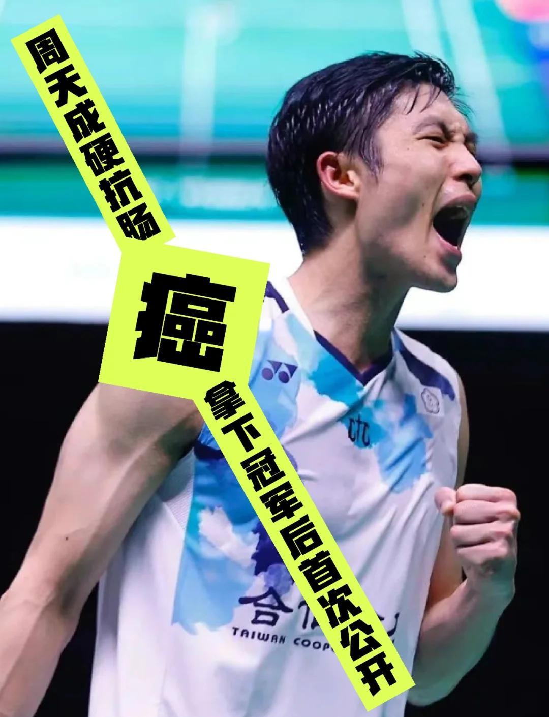 关于从学校到职业:羽毛球选手的成长历程的信息 关于从学校到职业:羽毛球选手的成长历程的信息