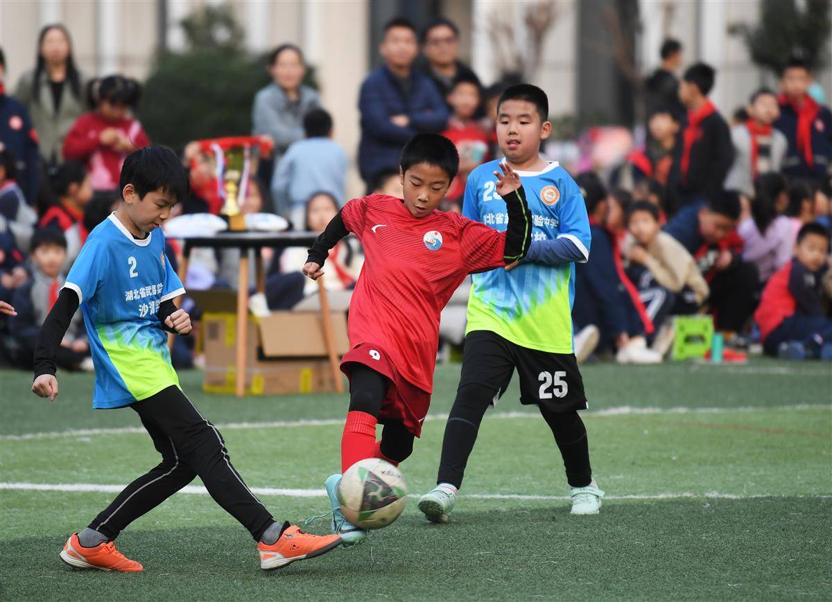 如何在校园内推广足球教育与塑造文化