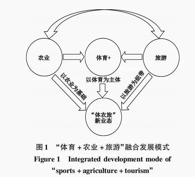 职业体育的多元化发展路径
